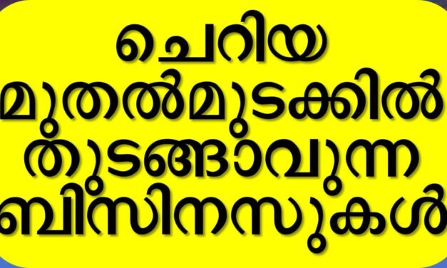 എളുപ്പം ആരംഭിക്കാവുന്ന ചെറുകിട വ്യവസായ സംരംഭങ്ങള്‍